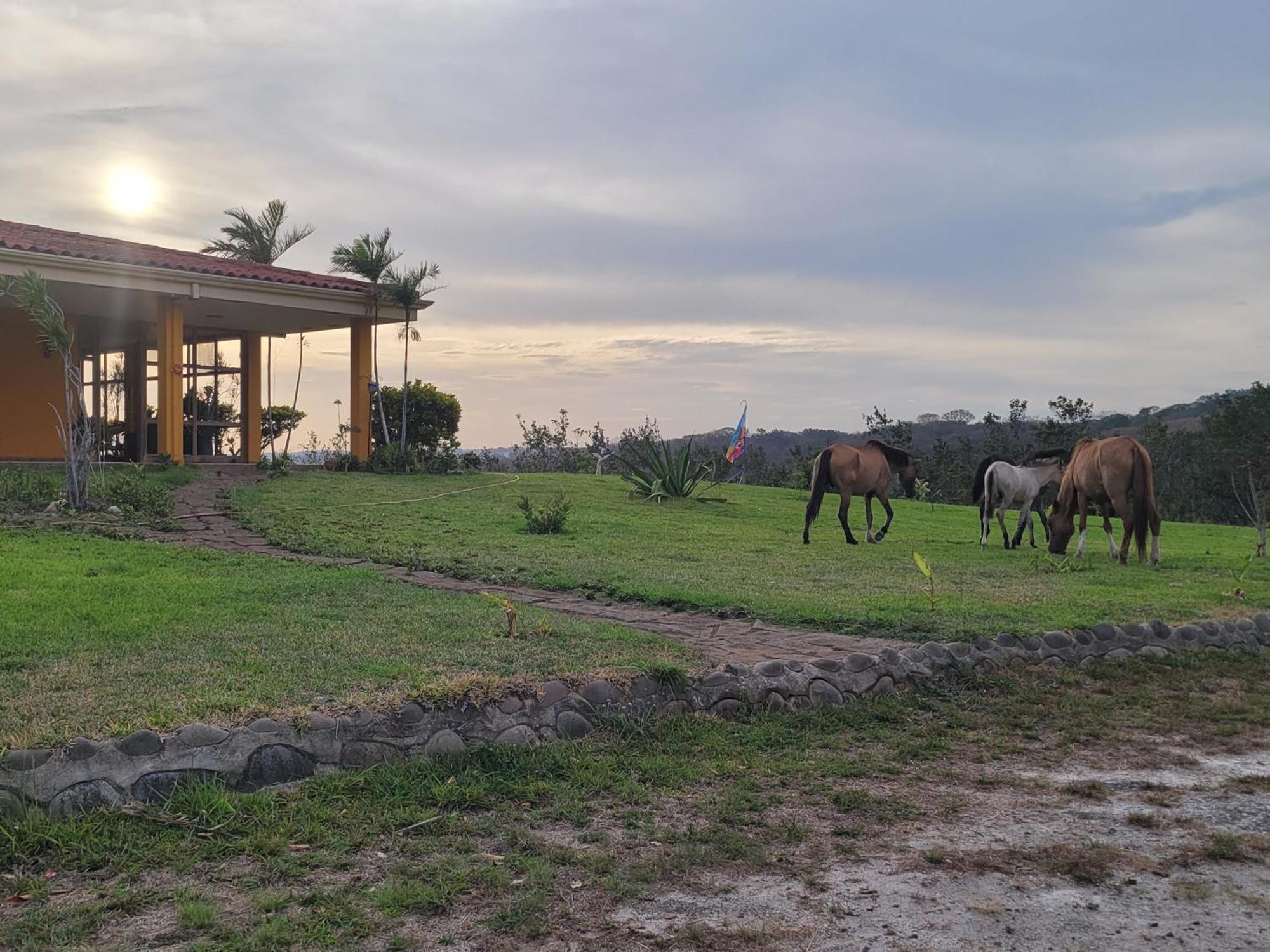 Hacienda En Los Volcanes Guayabo  Dış mekan fotoğraf
