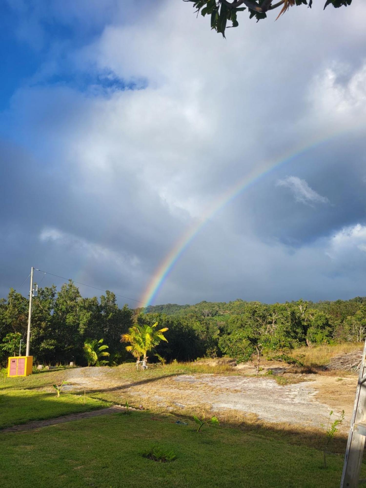 Hacienda En Los Volcanes Guayabo  Dış mekan fotoğraf