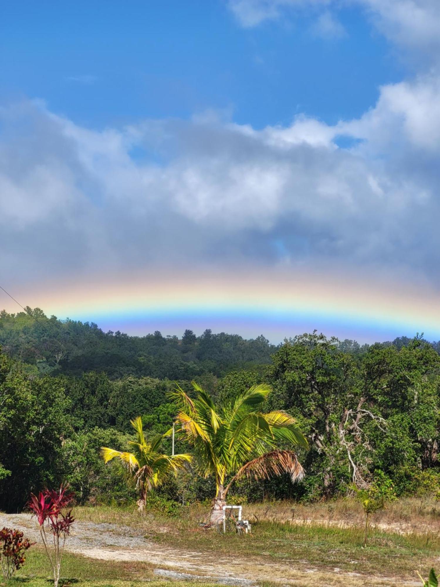 Hacienda En Los Volcanes Guayabo  Dış mekan fotoğraf