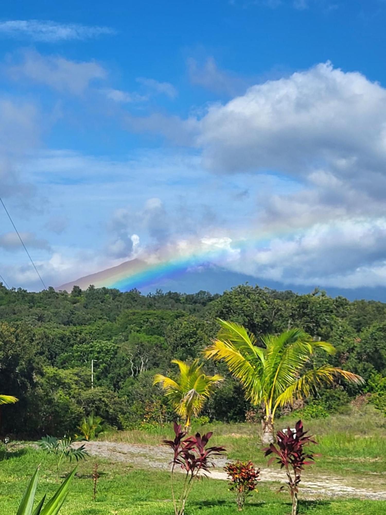 Hacienda En Los Volcanes Guayabo  Dış mekan fotoğraf